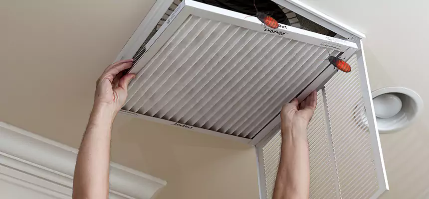 Preventive Cockroach-Proofing for Ducts in Newport