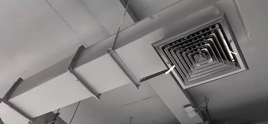 Our Pest Removal From Ducts Services in Newport, KY