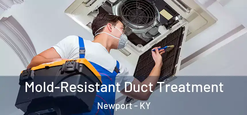  Mold-Resistant Duct Treatment Newport - KY