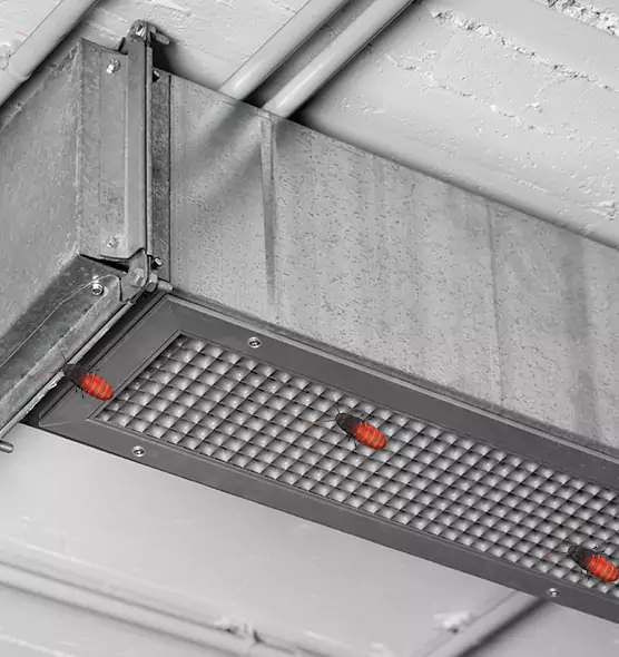 About Air Duct Cockroach Removal in Newport, KY