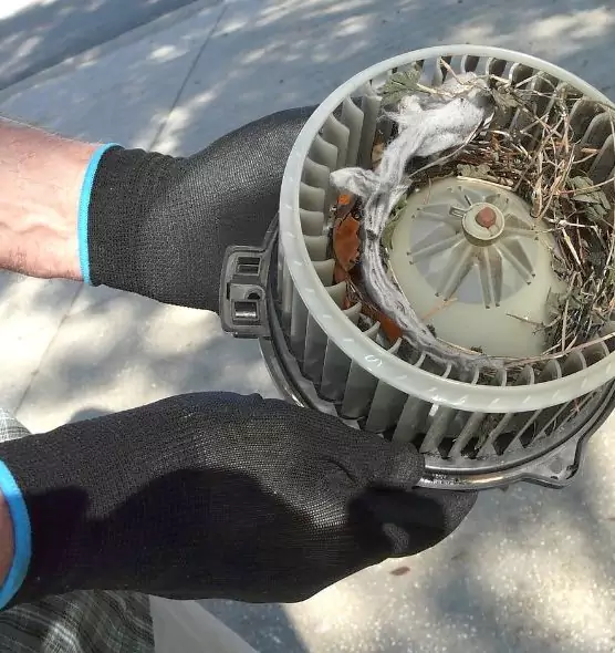 About Air Duct Rat Removal in Newport, KY