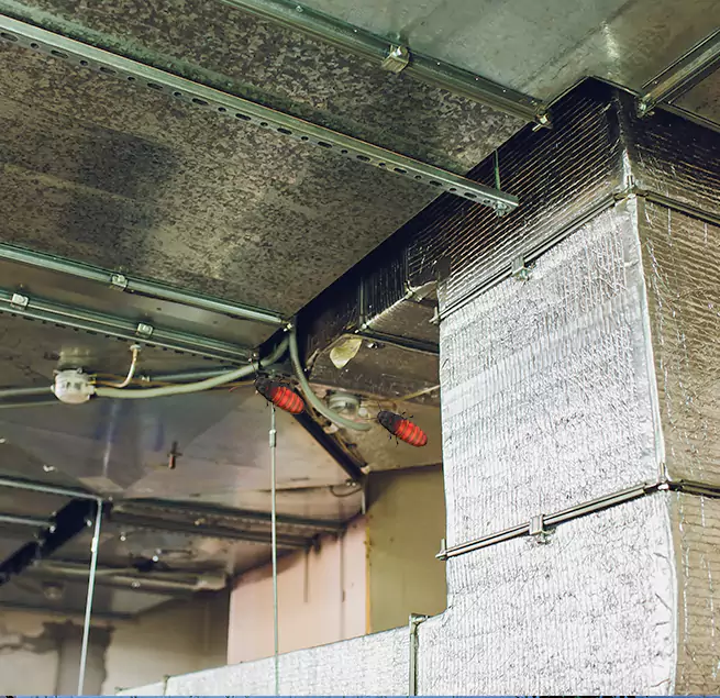 Why Homeowners & Businesses Trust Us in Newport, KY?