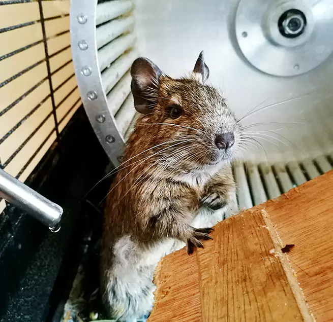 Why Homeowners & Businesses Trust Us Newport, KY