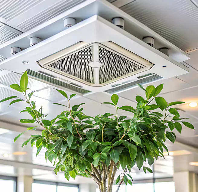 Why Homeowners & Businesses Trust Us in Newport, KY